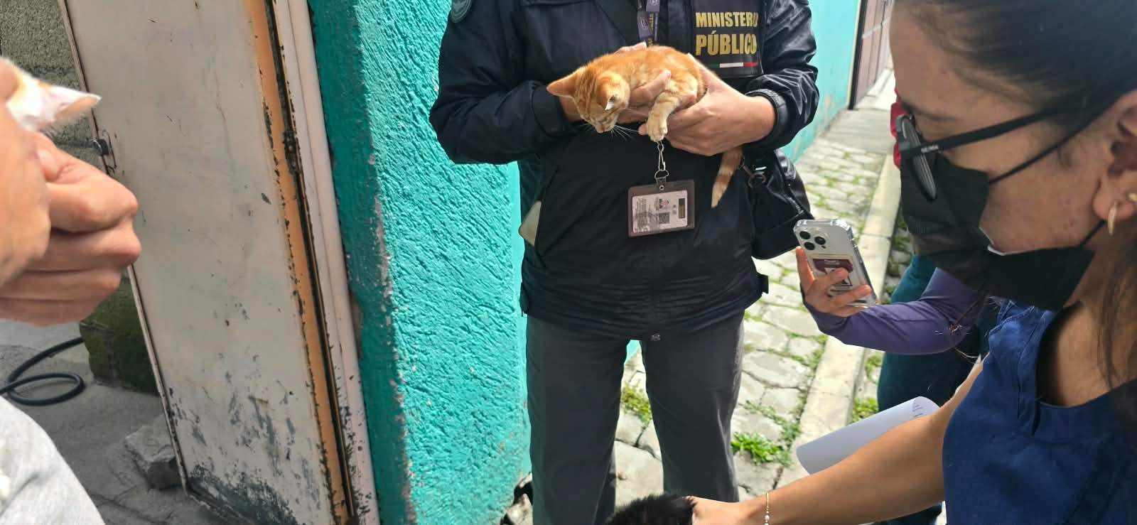 Refuerza Toluca acciones contra el maltrato animal; rescatan 18 perros y gatos en San Buenaventura