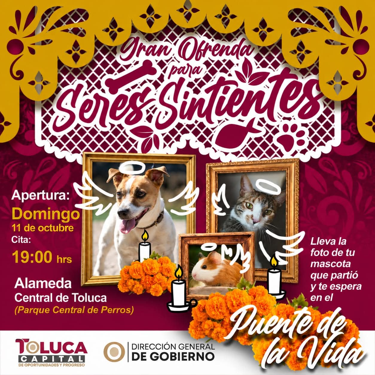 Invita Toluca a honrar la memoria de los compañeros de vida con la Gran Ofrenda para Seres Sintientes